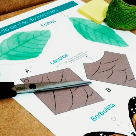 CICLO DE VIDA - Borboleta - Image 3