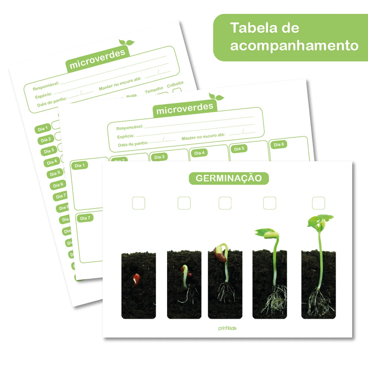 E-book Microverdes - Imagem 3