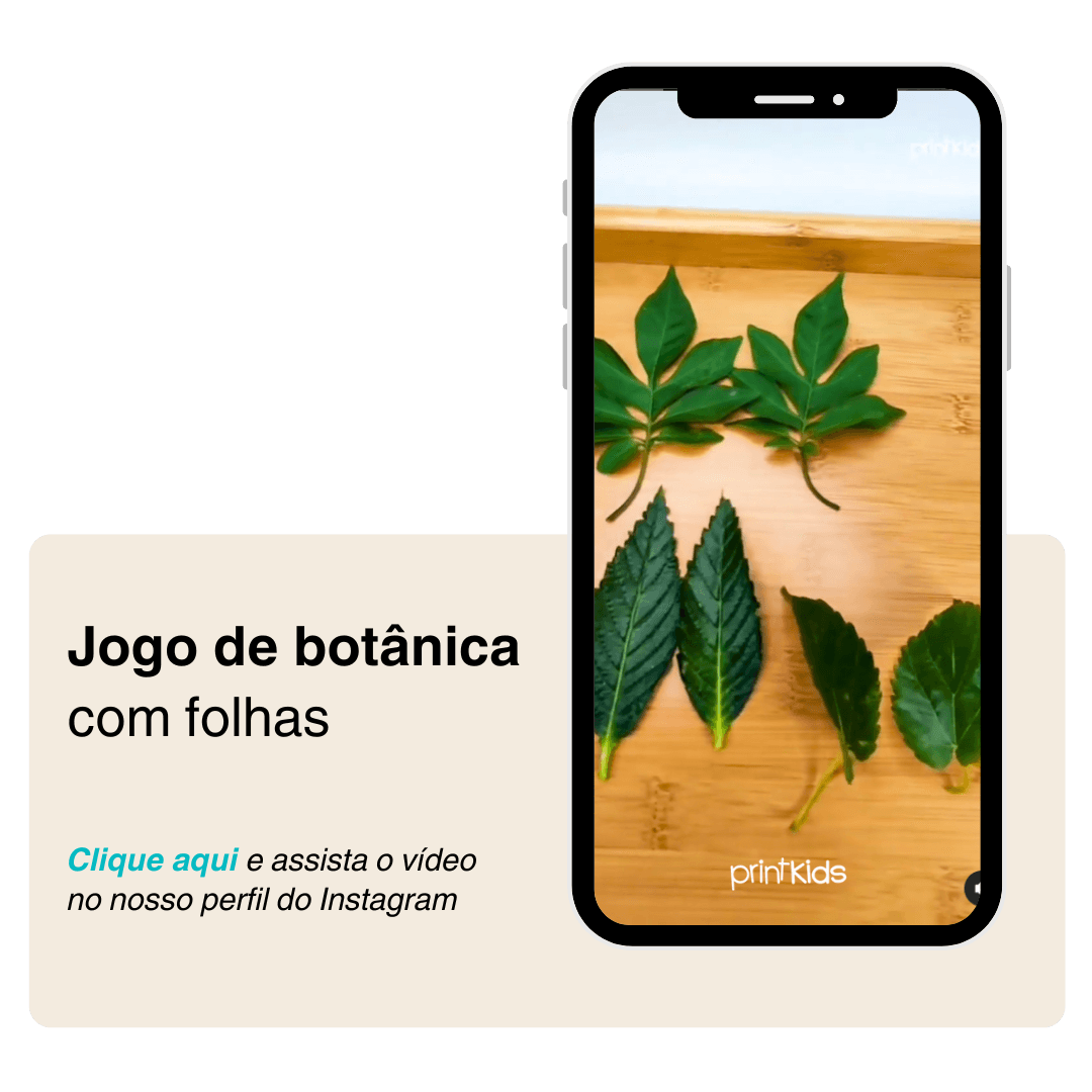 Jogo de Botânica com Folhas