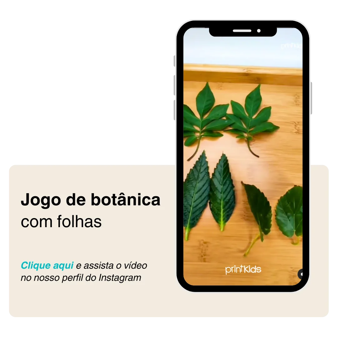 Jogo de Botânica com Folhas